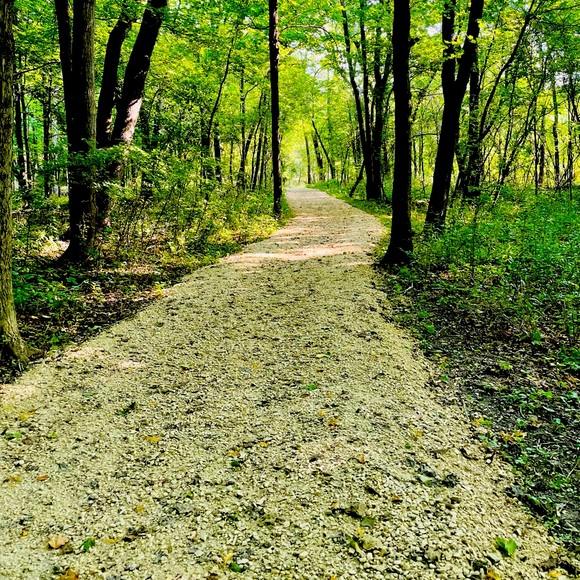 Happy poshing 😊 - Picture 1 of 1